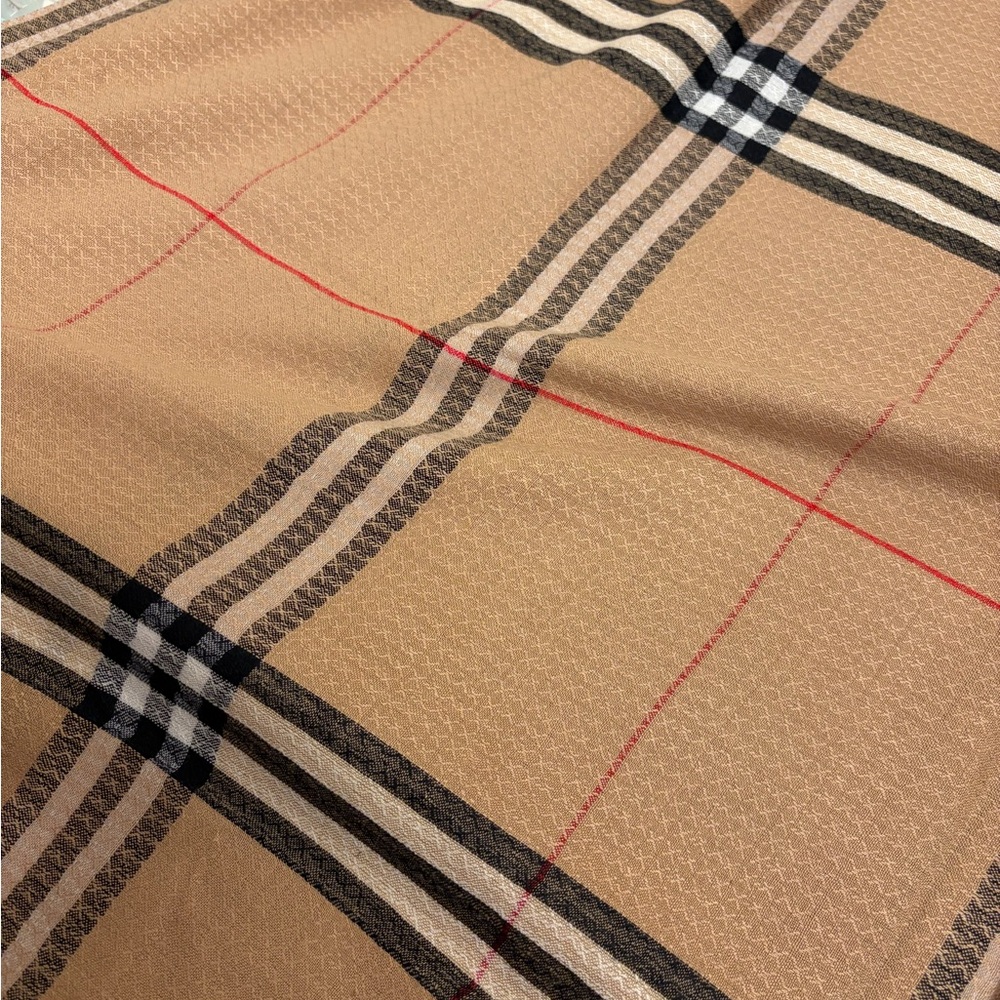 Burberry Scarf (PRICE FIRM) - Picture 5 of 8